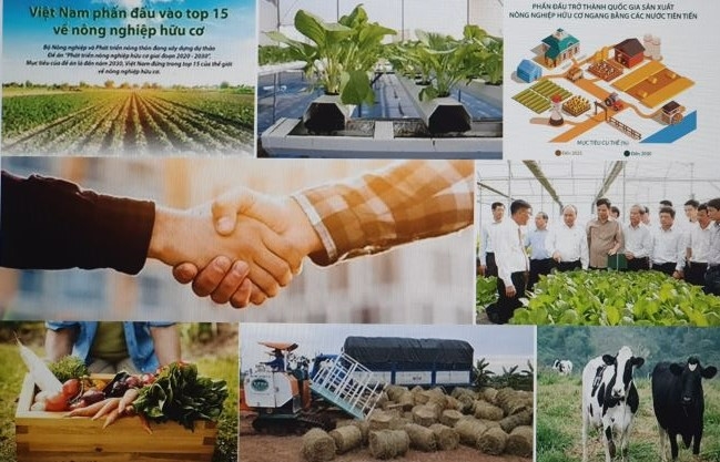 Sản xuất nông nghiệp hữu cơ - hướng đi bền vững cho nông dân